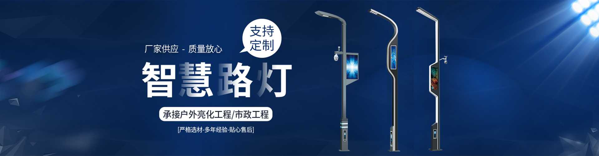 濂溪区太阳能路灯定制厂家