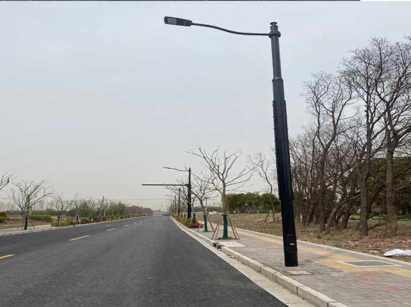 濂溪区上海综合杆 太阳能路灯工程